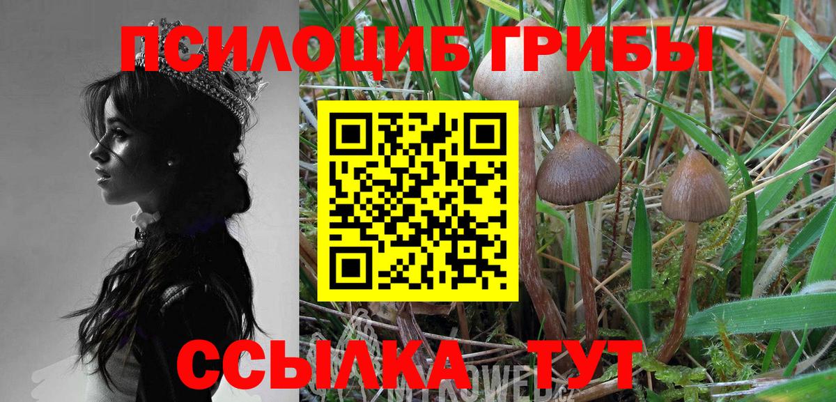 Зеленокумск  купить наркотик  Вход с VPN  Галлюциногенные грибы Magic Shrooms 